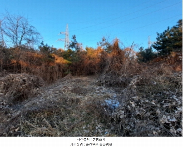 2024타경5429 충청남도 당진시 송악읍 반촌리 292-1 임야 경매 이미지