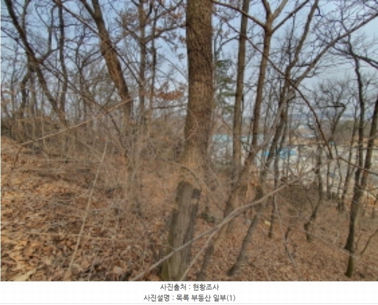 2024타경33318 경기도 김포시 대곶면 쇄암리 353-43 임야 경매 이미지