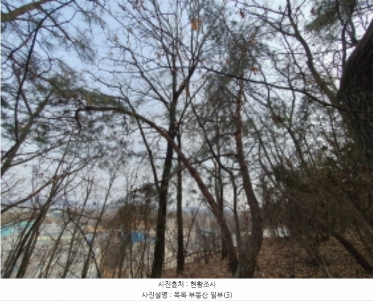 2024타경33318 경기도 김포시 대곶면 쇄암리 353-43 임야 경매 이미지