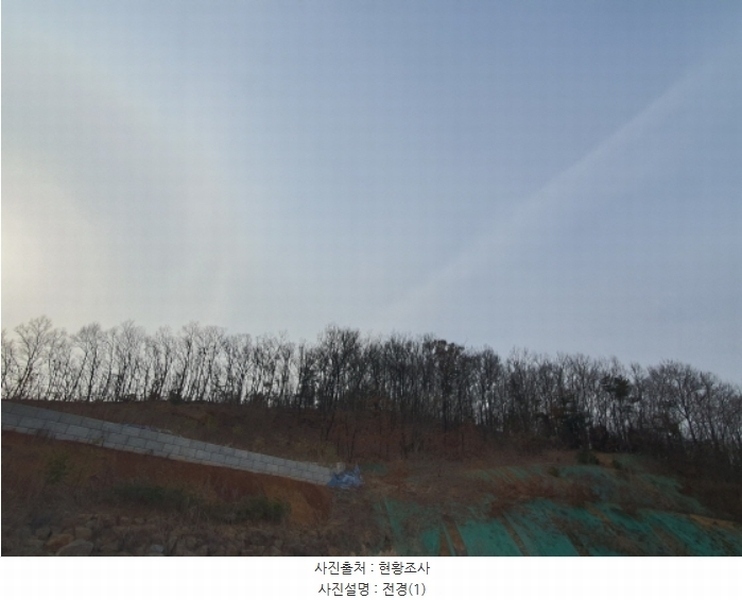 2024타경33318 경기도 김포시 대곶면 쇄암리 353-43 임야 경매 이미지