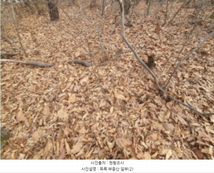 2024타경33318 경기도 김포시 대곶면 쇄암리 353-43 임야 경매 이미지