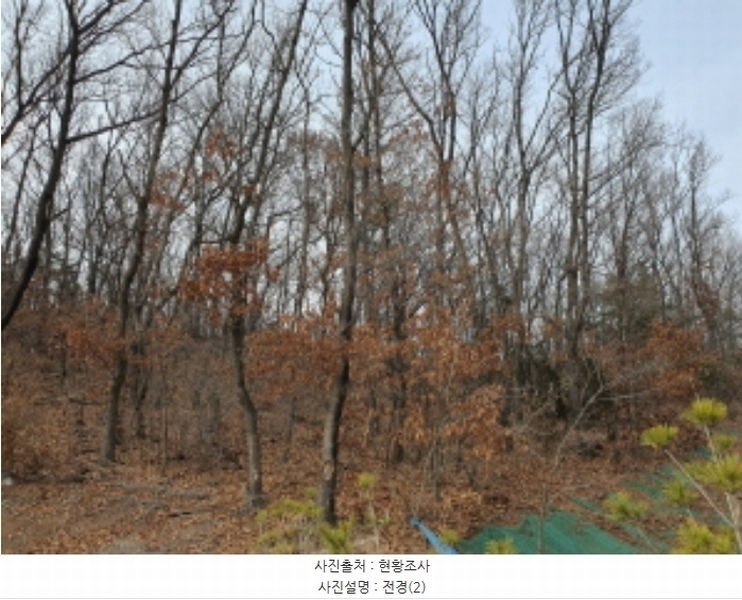 2024타경33318 경기도 김포시 대곶면 쇄암리 353-43 임야 경매 이미지