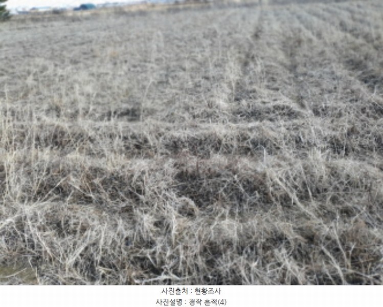2024타경33998 경기도 김포시 양촌읍 누산리 1036-60 농지 경매 이미지