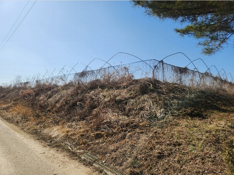2024타경33998 경기도 김포시 양촌읍 누산리 1036-60 농지 경매 이미지