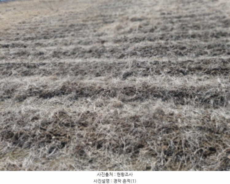 2024타경33998 경기도 김포시 양촌읍 누산리 1036-60 농지 경매 이미지