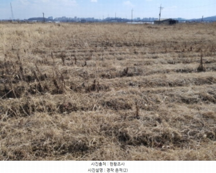 2024타경33998 경기도 김포시 양촌읍 누산리 1036-60 농지 경매 이미지