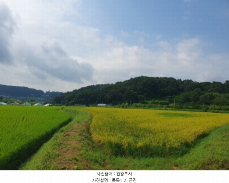 2024타경38245 경기도 양평군 옥천면 신복리 1085 농지 경매 이미지