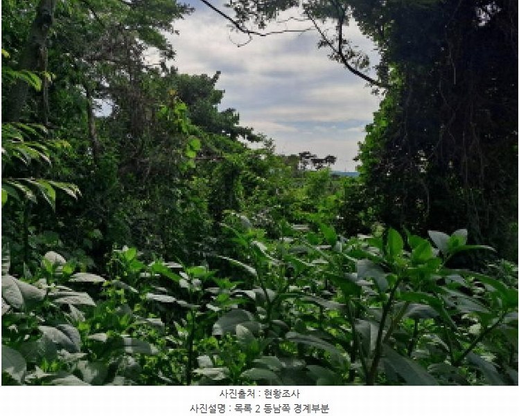 2025타경51391 충청남도 당진시 송악읍 월곡리 353-18 농지 경매 이미지