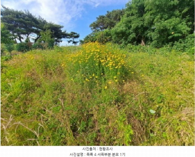 2025타경51391 충청남도 당진시 송악읍 월곡리 353-18 농지 경매 이미지
