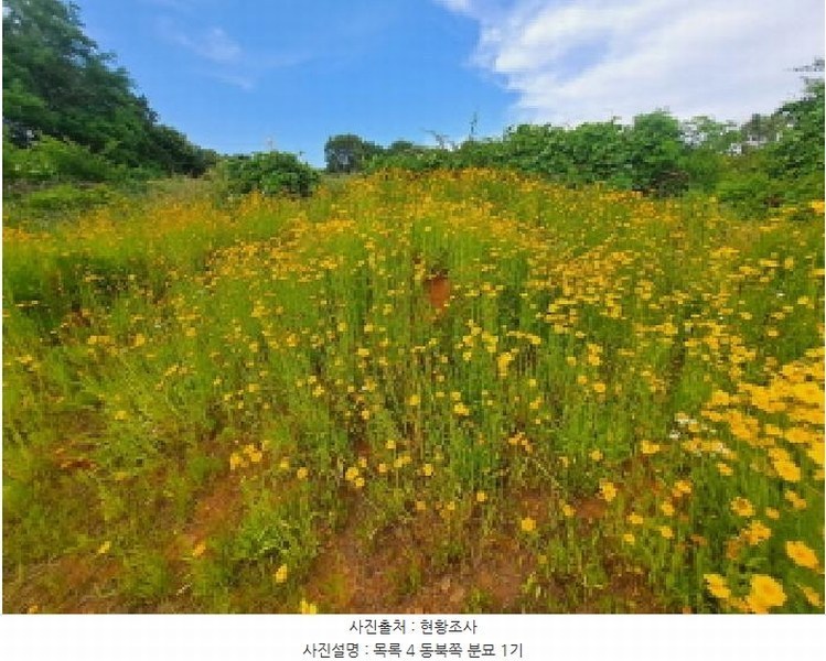 2025타경51391 충청남도 당진시 송악읍 월곡리 353-18 농지 경매 이미지