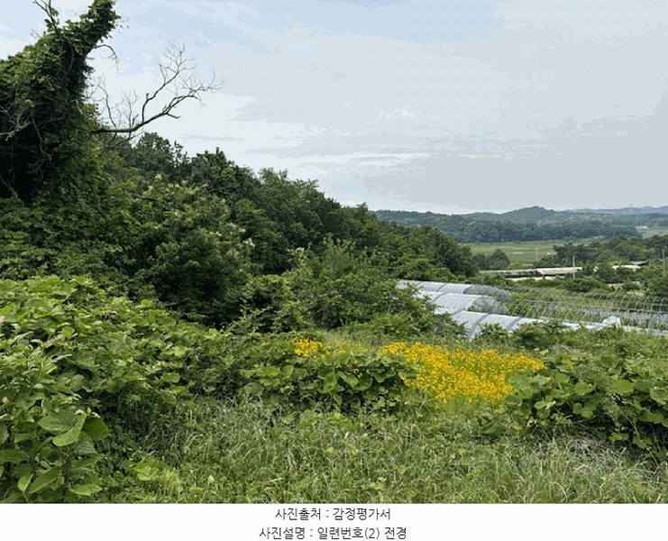2025타경51391 충청남도 당진시 송악읍 월곡리 353-18 농지 경매 이미지