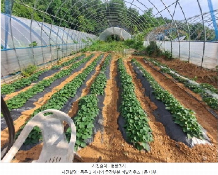 2025타경51391 충청남도 당진시 송악읍 월곡리 353-18 농지 경매 이미지