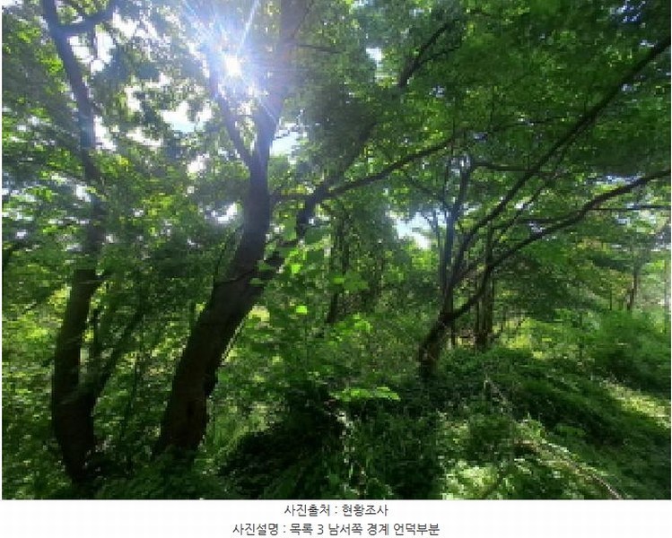 2025타경51391 충청남도 당진시 송악읍 월곡리 353-18 농지 경매 이미지