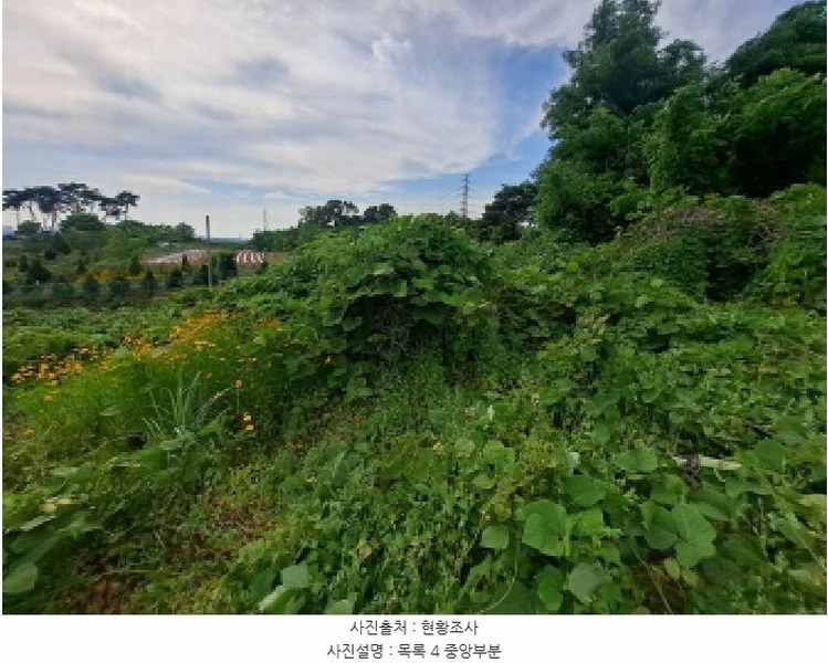 2025타경51391 충청남도 당진시 송악읍 월곡리 353-18 농지 경매 이미지