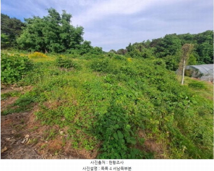 2025타경51391 충청남도 당진시 송악읍 월곡리 353-18 농지 경매 이미지