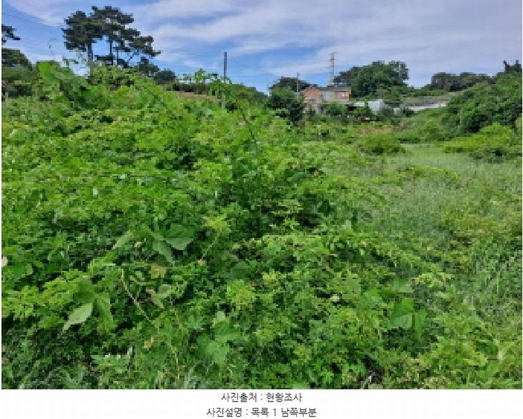 2025타경51391 충청남도 당진시 송악읍 월곡리 353-18 농지 경매 이미지