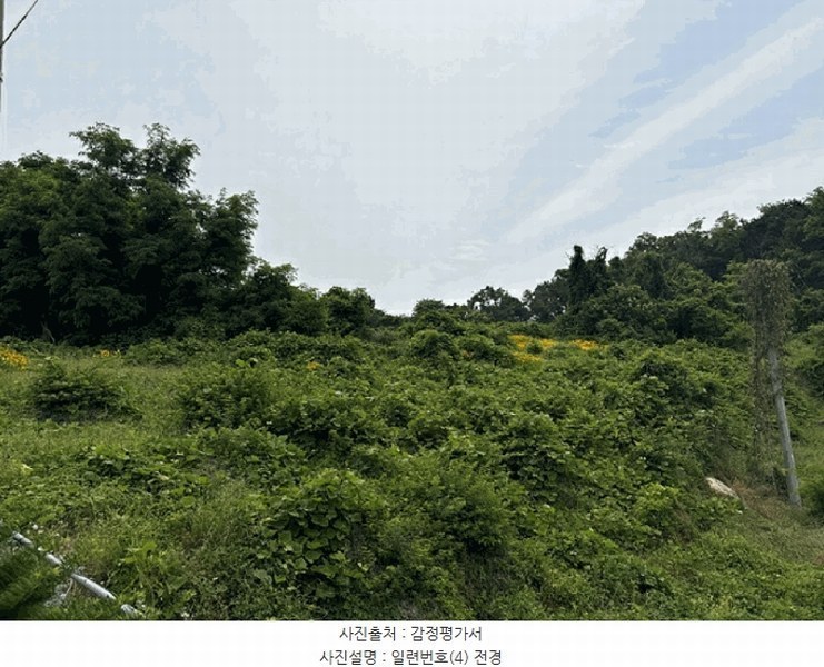 2025타경51391 충청남도 당진시 송악읍 월곡리 353-18 농지 경매 이미지