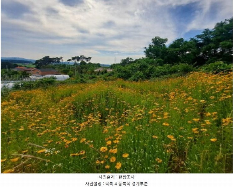 2025타경51391 충청남도 당진시 송악읍 월곡리 353-18 농지 경매 이미지