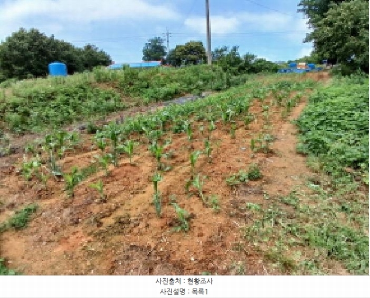 2025타경51421 충청남도 당진시 석문면 삼봉리 251-26 임야 경매 이미지