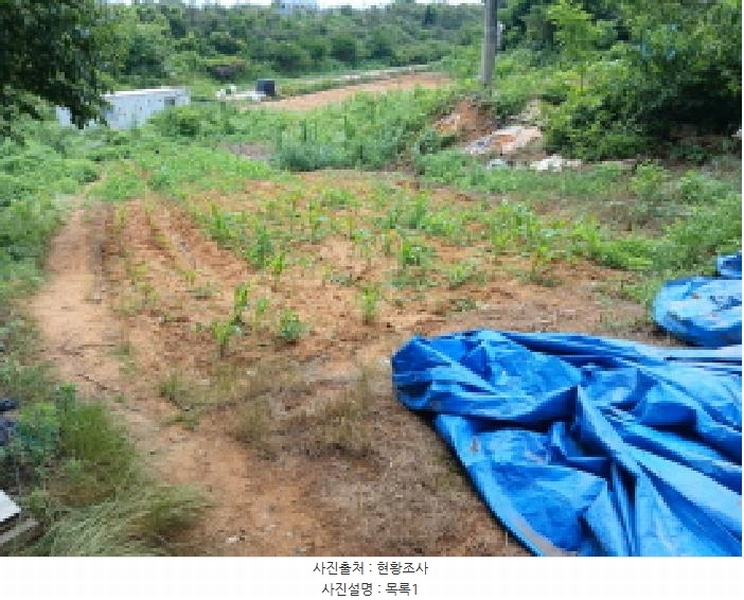 2025타경51421 충청남도 당진시 석문면 삼봉리 251-26 임야 경매 이미지