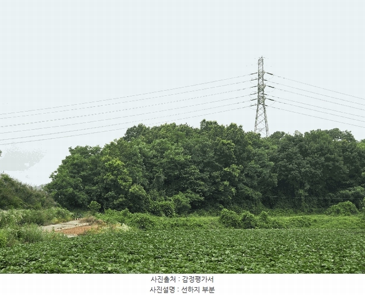 2025타경51421 충청남도 당진시 석문면 삼봉리 251-26 임야 경매 이미지