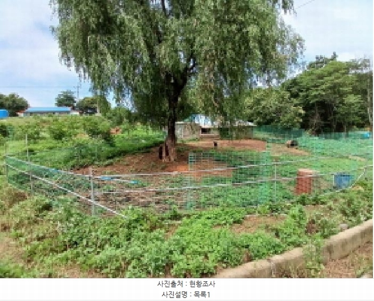 2025타경51421 충청남도 당진시 석문면 삼봉리 251-26 임야 경매 이미지