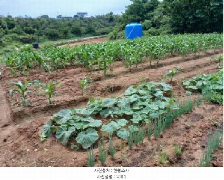 2025타경51421 충청남도 당진시 석문면 삼봉리 251-26 임야 경매 이미지