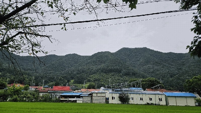 2025타경51440 충청북도 괴산군 청천면 강평리 산7-2 임야 경매 이미지
