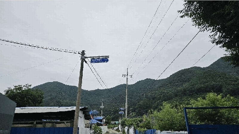 2025타경51440 충청북도 괴산군 청천면 강평리 산7-2 임야 경매 이미지