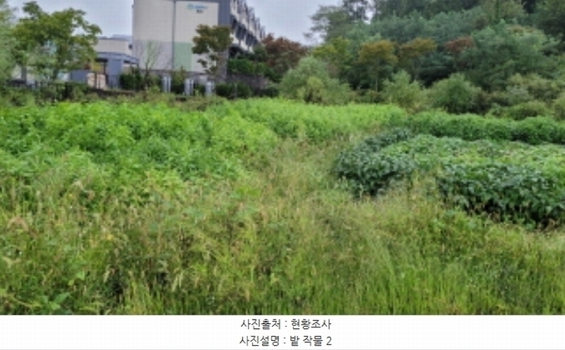 2024타경48860 경기도 김포시 마산동 621-10 대지 경매 이미지