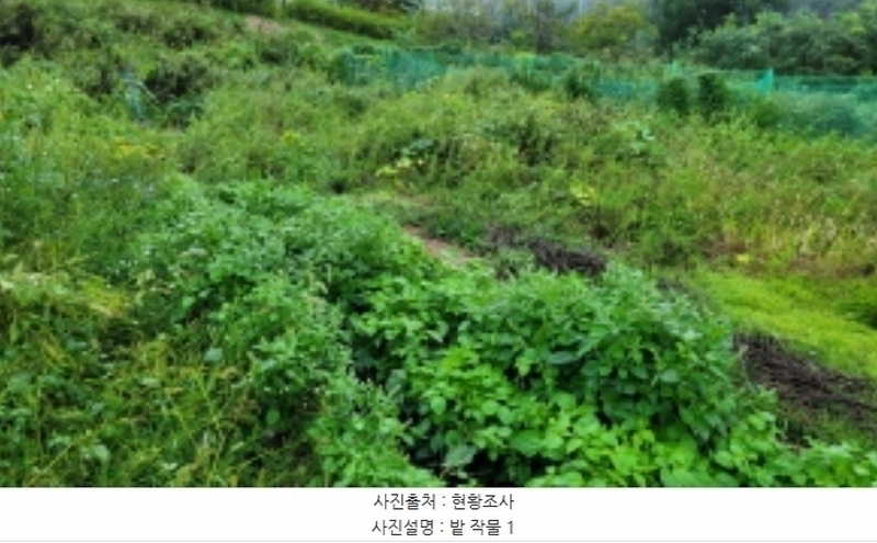 2024타경48860 경기도 김포시 마산동 621-10 대지 경매 이미지