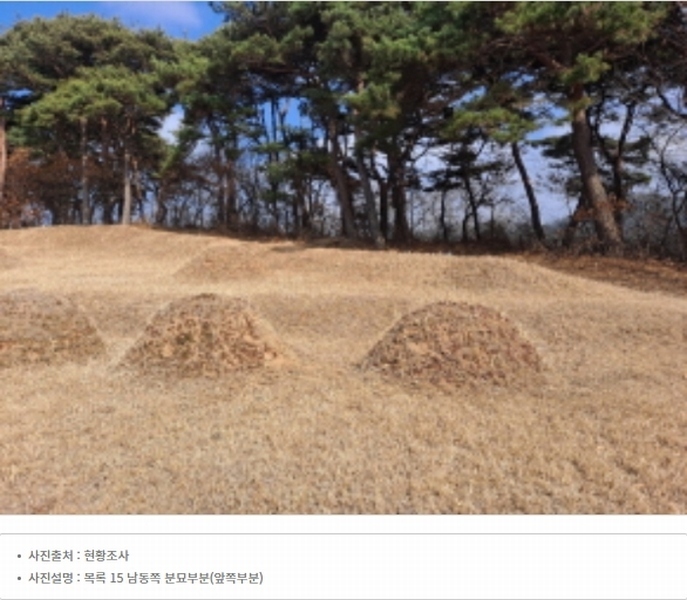 2024타경51064 충청남도 서산시 해미면 반양리 242-13 임야 경매 이미지
