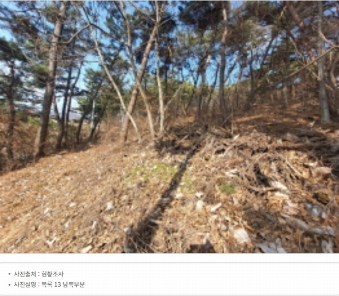 2024타경51064 충청남도 서산시 해미면 반양리 242-13 임야 경매 이미지
