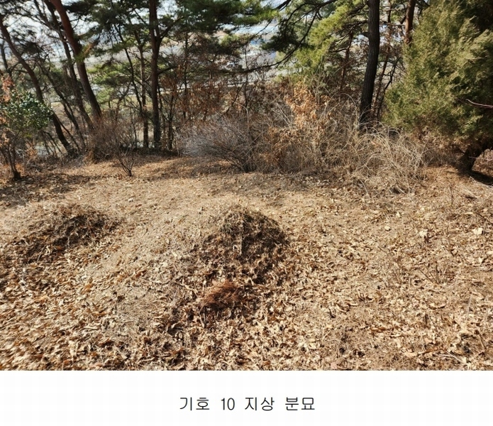 2024타경51064 충청남도 서산시 해미면 반양리 242-13 임야 경매 이미지