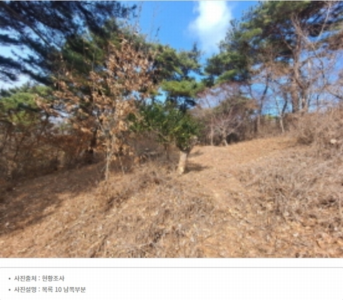 2024타경51064 충청남도 서산시 해미면 반양리 242-13 임야 경매 이미지