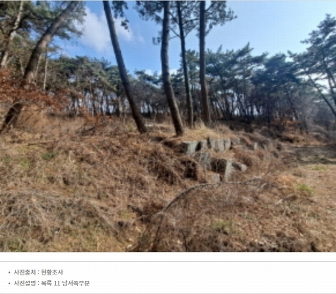 2024타경51064 충청남도 서산시 해미면 반양리 242-13 임야 경매 이미지