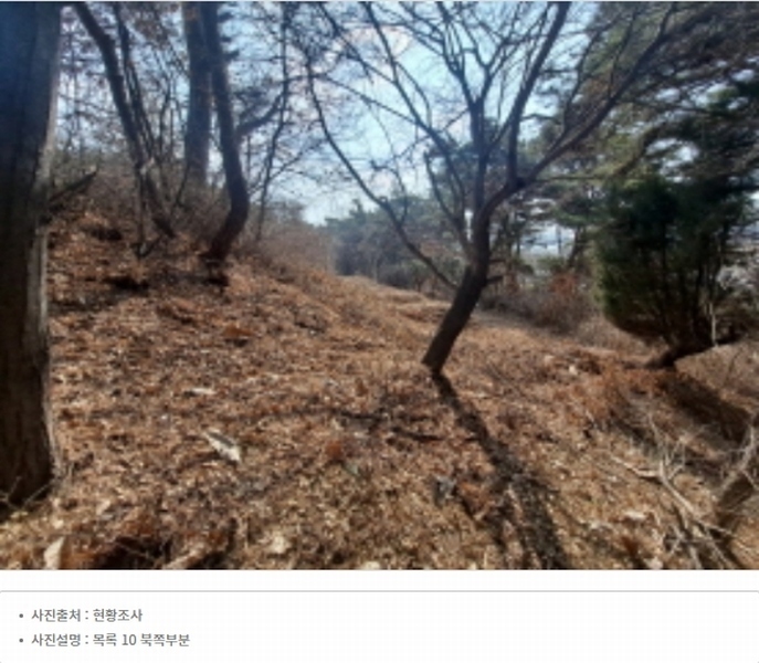 2024타경51064 충청남도 서산시 해미면 반양리 242-13 임야 경매 이미지