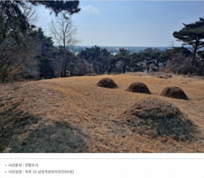 2024타경51064 충청남도 서산시 해미면 반양리 242-13 임야 경매 이미지