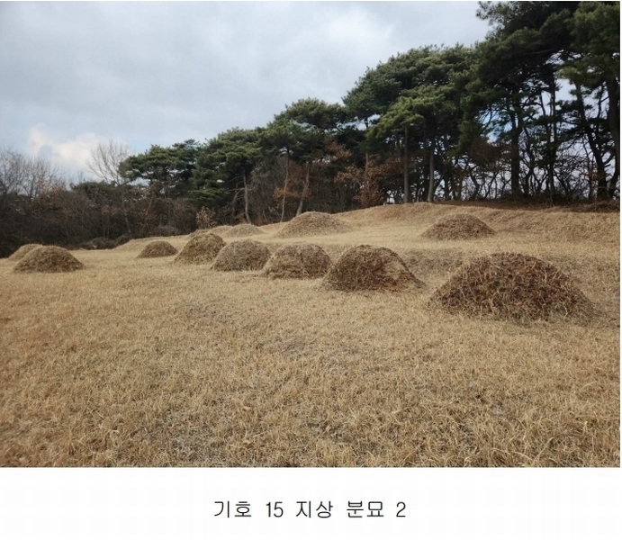 2024타경51064 충청남도 서산시 해미면 반양리 242-13 임야 경매 이미지
