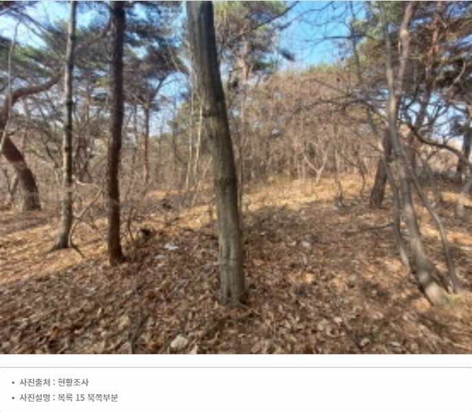 2024타경51064 충청남도 서산시 해미면 반양리 242-13 임야 경매 이미지