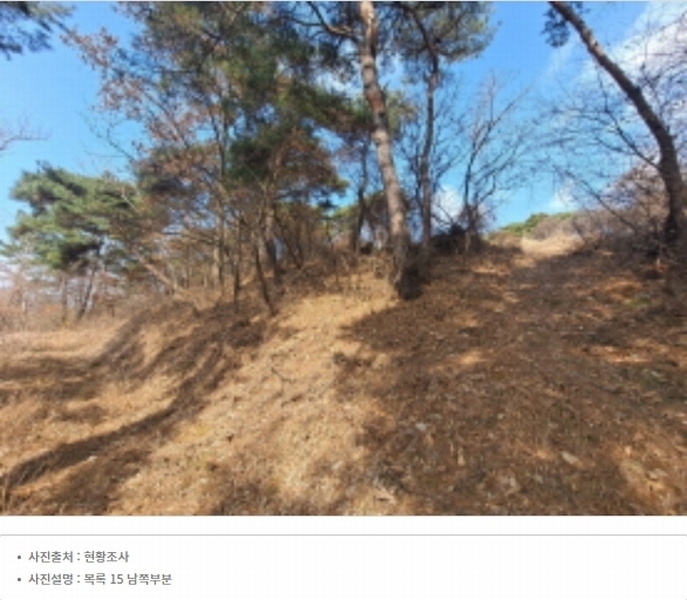 2024타경51064 충청남도 서산시 해미면 반양리 242-13 임야 경매 이미지