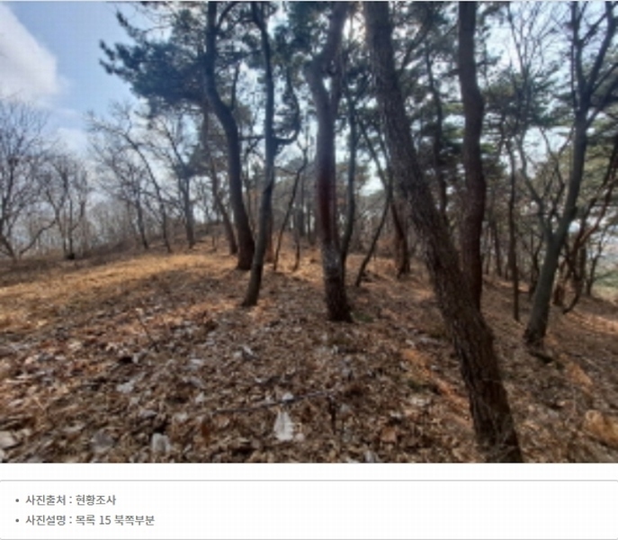 2024타경51064 충청남도 서산시 해미면 반양리 242-13 임야 경매 이미지