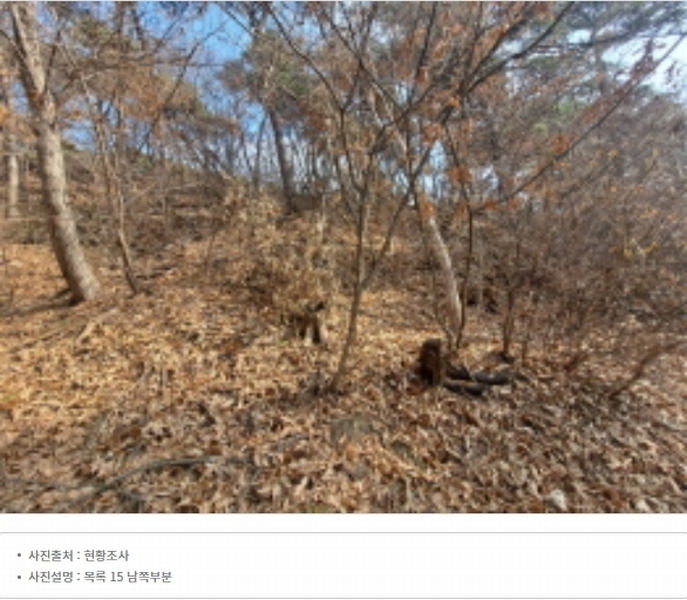 2024타경51064 충청남도 서산시 해미면 반양리 242-13 임야 경매 이미지