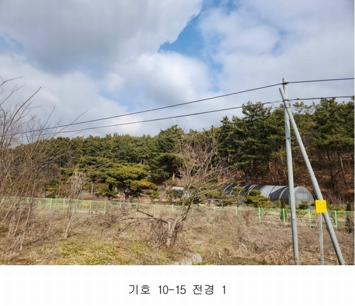 2024타경51064 충청남도 서산시 해미면 반양리 242-13 임야 경매 이미지