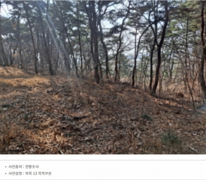 2024타경51064 충청남도 서산시 해미면 반양리 242-13 임야 경매 이미지