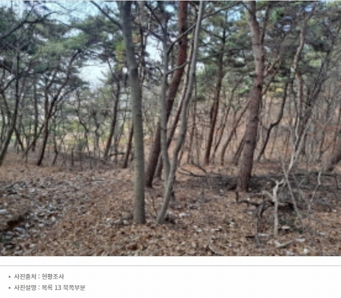 2024타경51064 충청남도 서산시 해미면 반양리 242-13 임야 경매 이미지