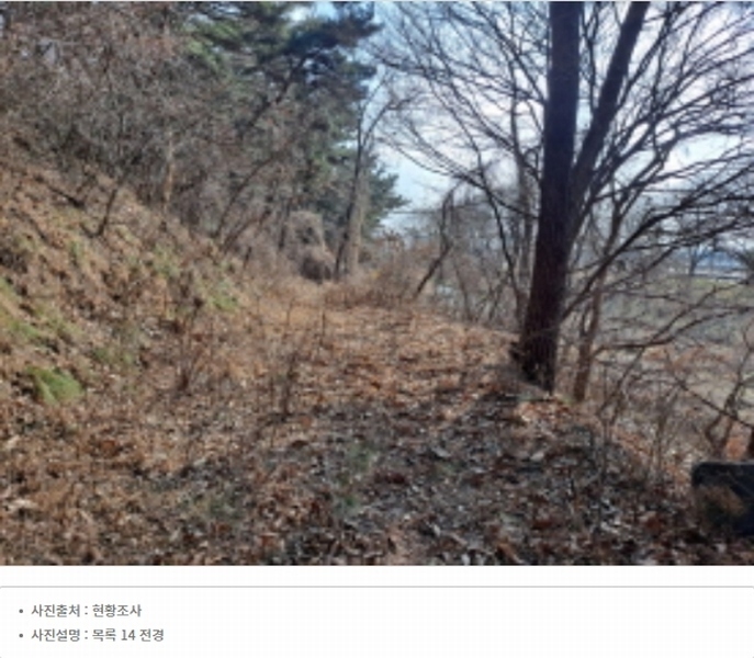 2024타경51064 충청남도 서산시 해미면 반양리 242-13 임야 경매 이미지