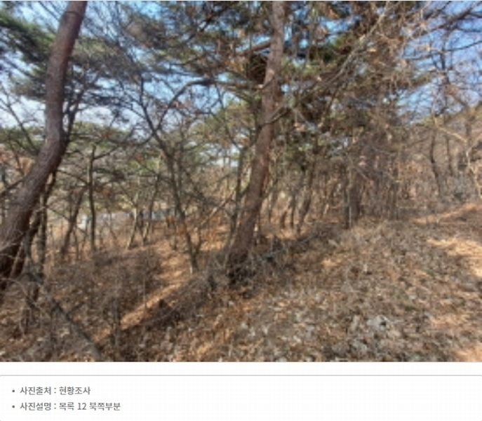 2024타경51064 충청남도 서산시 해미면 반양리 242-13 임야 경매 이미지
