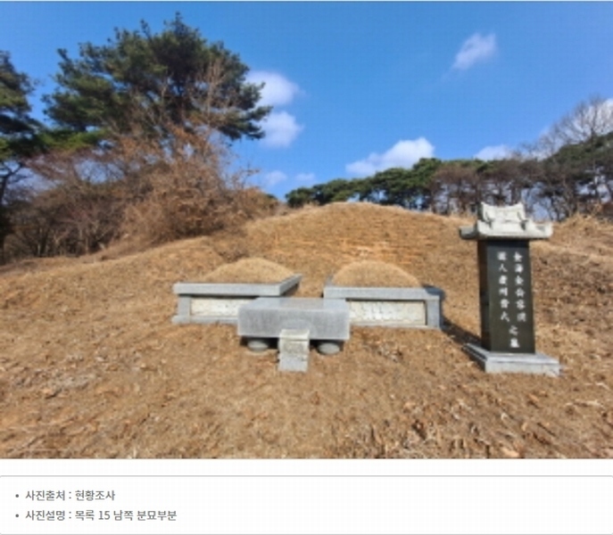 2024타경51064 충청남도 서산시 해미면 반양리 242-13 임야 경매 이미지