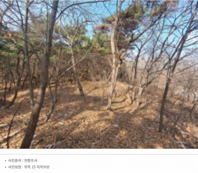 2024타경51064 충청남도 서산시 해미면 반양리 242-13 임야 경매 이미지